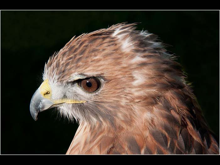 nature image 01